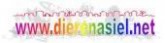 Banner www.dierenasiel.net